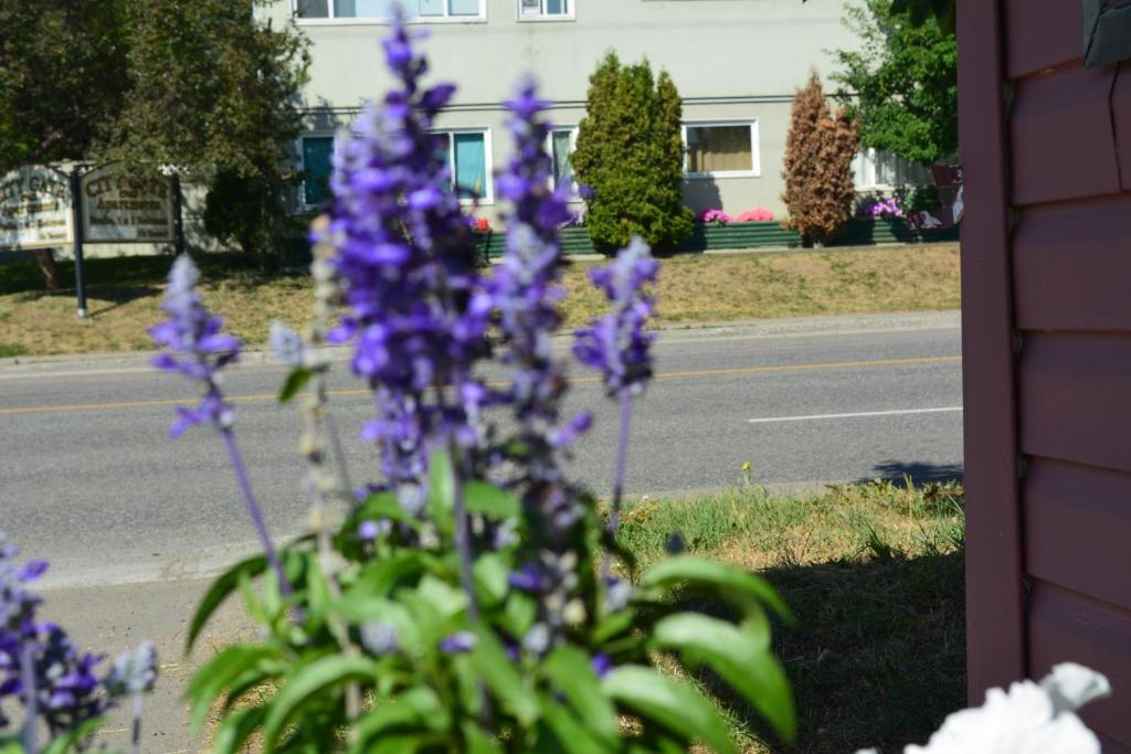 Queensway Court Motel Prince George Exteriér fotografie